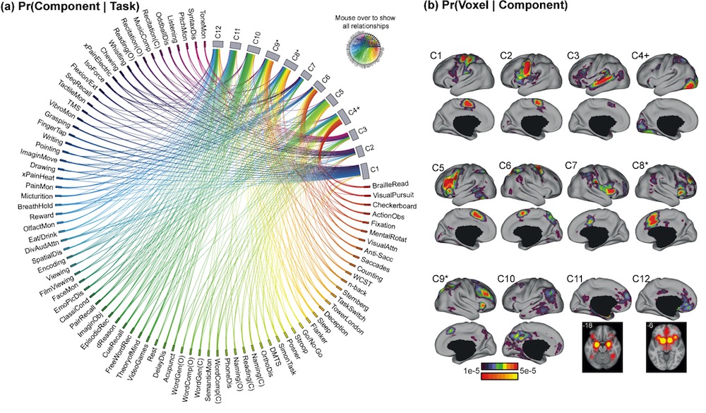 [[http://www.ece.nus.edu.sg/stfpage/ybtt/papers/2014Brainmap/Interactive/index.html]]