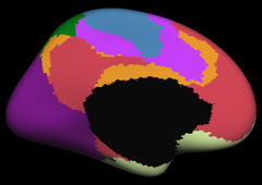 Yeo2011_JNeurophysiol_7networks_medial.png