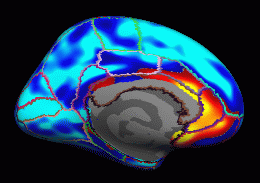 groupana.med.uncor.th0.gif