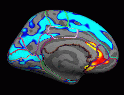 groupana.med.uncor.th2.gif