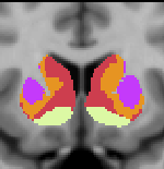 Buckner2011_JNeurophysiol_7networks_LiberalMask_axial.png